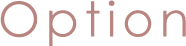 Option